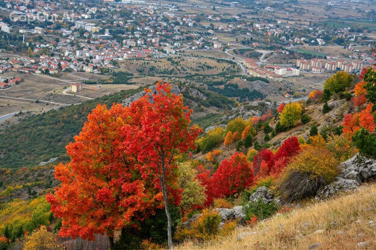 Konya’da doğa renk değiştirdi! Görenleri kendine hayran bırakıyor 3